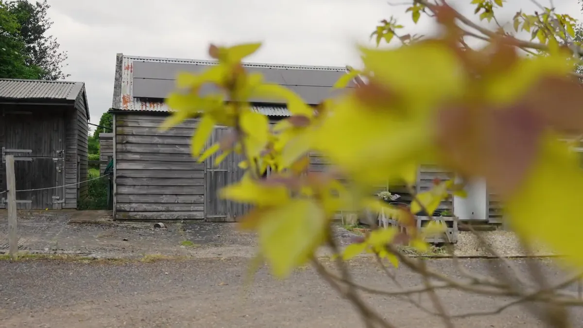Wooden barn with solar panels on the roof, seen through blurred yellow leaves.