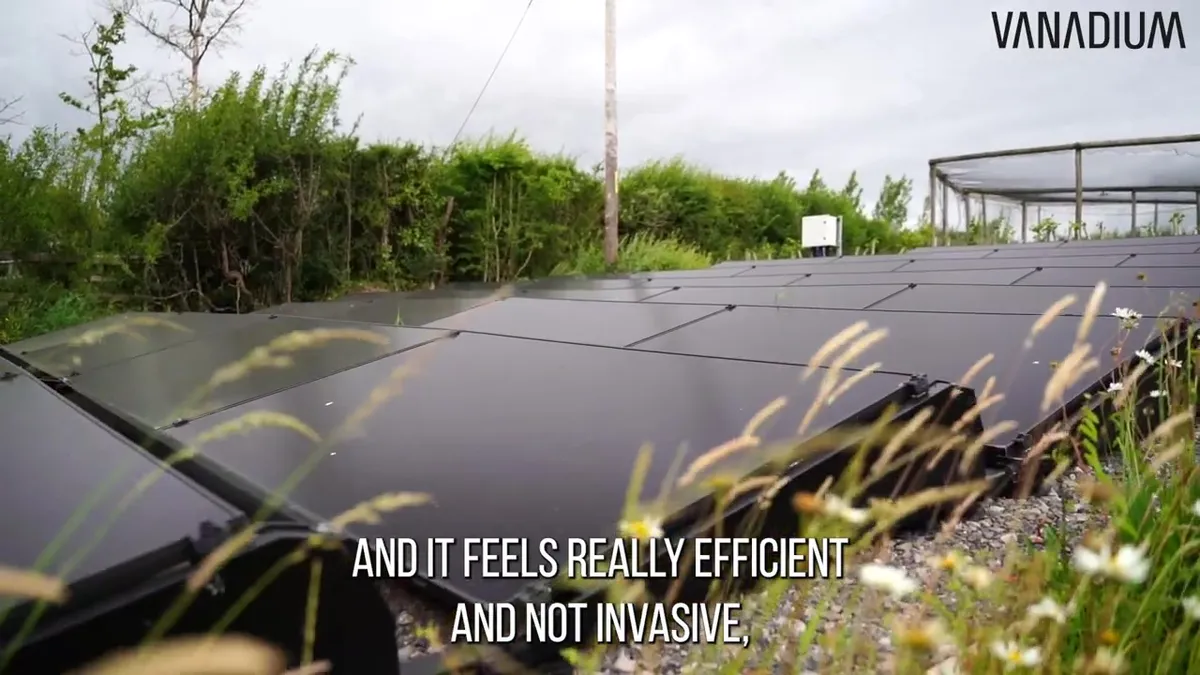 Ground-level view of the black ground-mounted solar panels with wildflowers in the foreground.